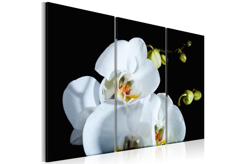 Bilde Snowy orchid 90x60 - Artgeist sp. z o. o. - Innredning - Bilder & kunst - Lerretsbilder