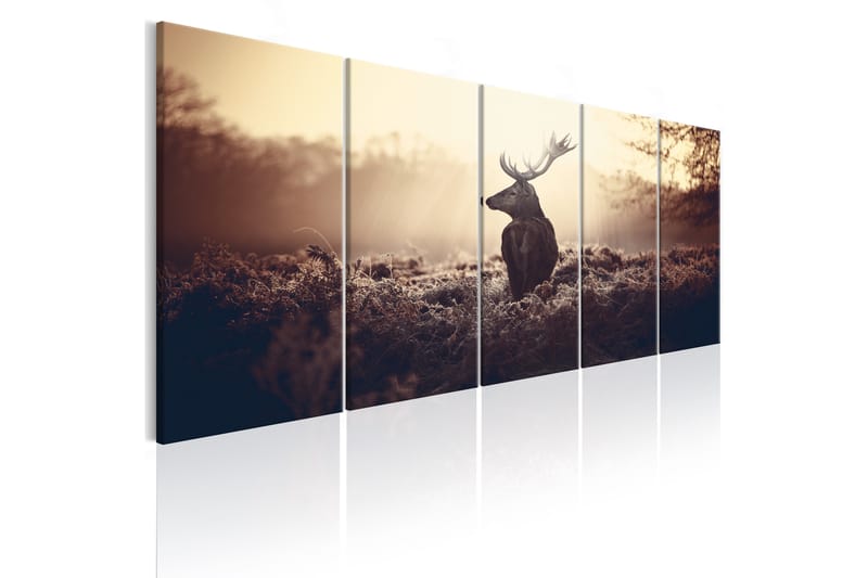 Bilde Stag In The Wilderness 200x80 - Artgeist sp. z o. o. - Innredning - Bilder & kunst - Lerretsbilder