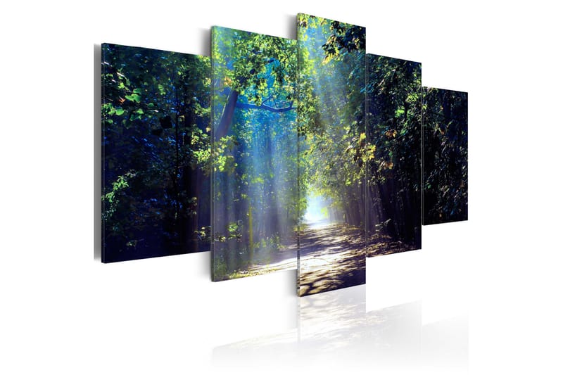 Bilde Sunny Forest Path 200x100 - Artgeist sp. z o. o. - Innredning - Bilder & kunst - Lerretsbilder
