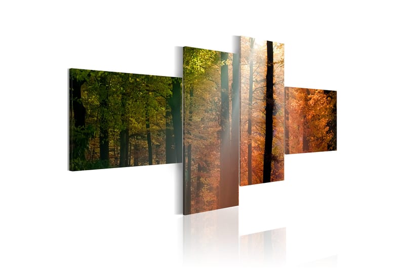 Bilde Sunrays Between Trees 100x45 - Artgeist sp. z o. o. - Innredning - Bilder & kunst - Lerretsbilder