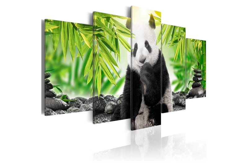 Bilde Sweet Little Panda 100x50 - Artgeist sp. z o. o. - Innredning - Bilder & kunst - Lerretsbilder