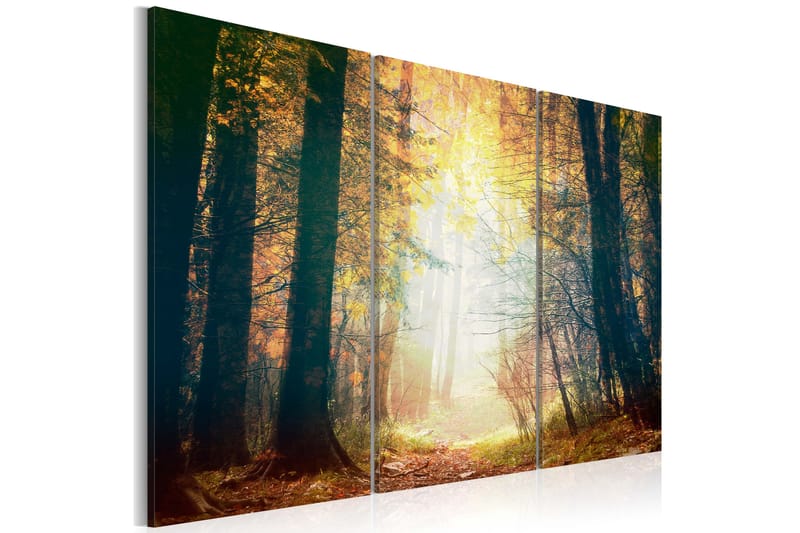 Bilde The beauty of autumn 90x60 - Artgeist sp. z o. o. - Innredning - Bilder & kunst - Lerretsbilder