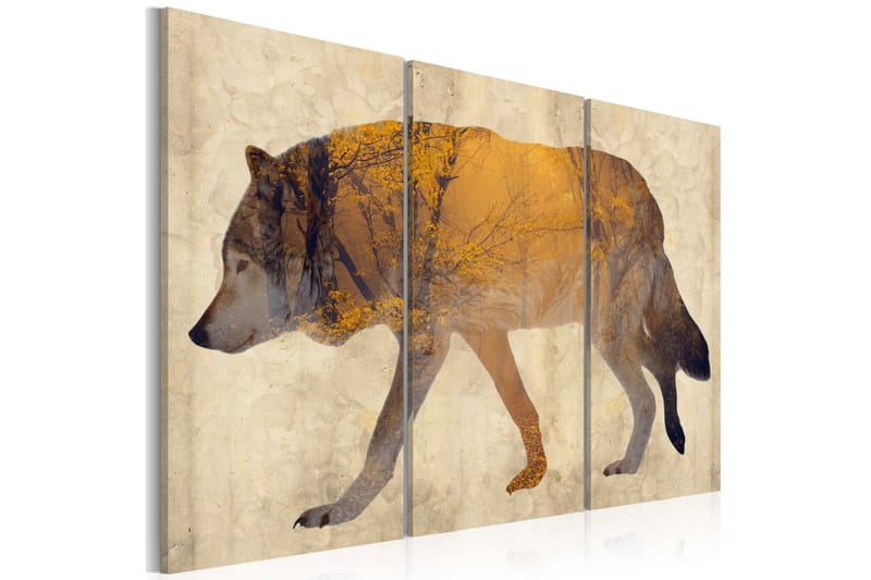 Bilde The Wandering Wolf 120x80 - Artgeist sp. z o. o. - Innredning - Bilder & kunst - Lerretsbilder