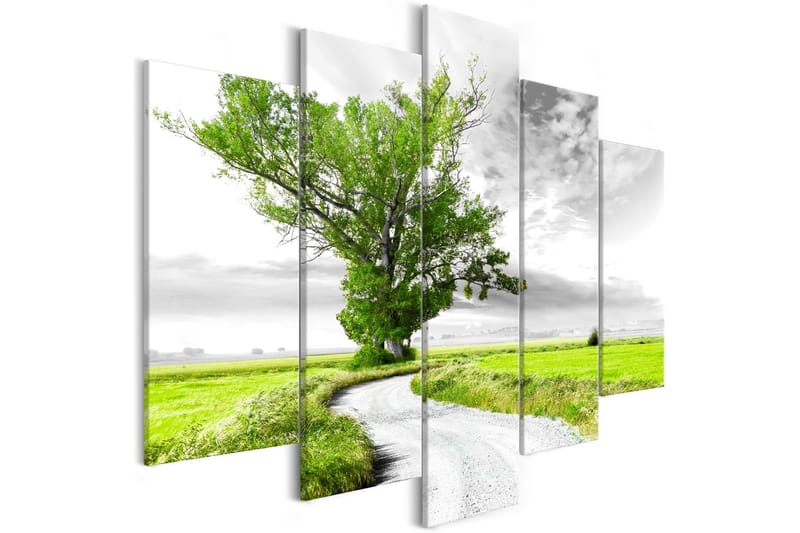 Bilde Tree Near The Road 5 Parts Green 200x100 - Artgeist sp. z o. o. - Innredning - Bilder & kunst - Lerretsbilder