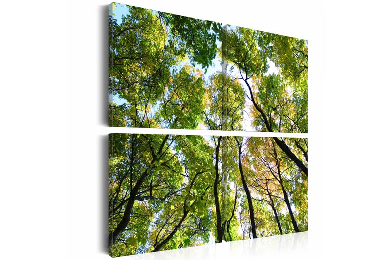 Bilde Treetops 40x40 - Artgeist sp. z o. o. - Innredning - Bilder & kunst - Lerretsbilder