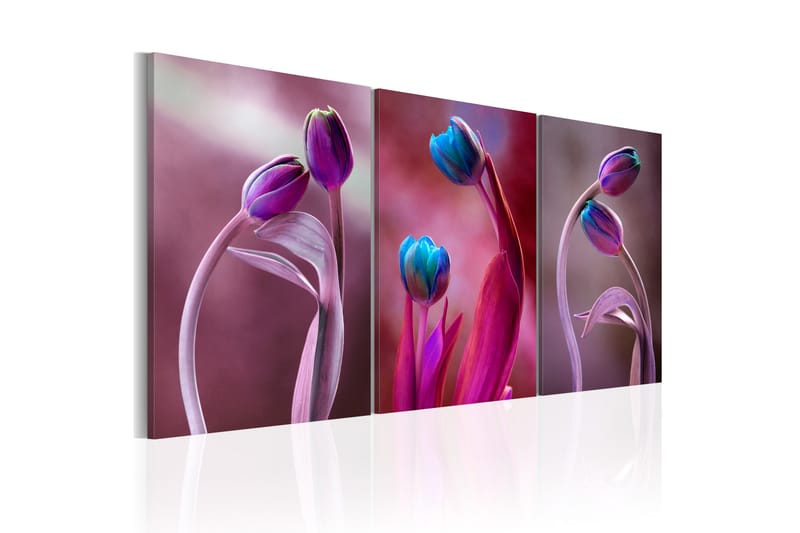 Bilde Tulips In Love 60x30 - Artgeist sp. z o. o. - Innredning - Bilder & kunst - Lerretsbilder