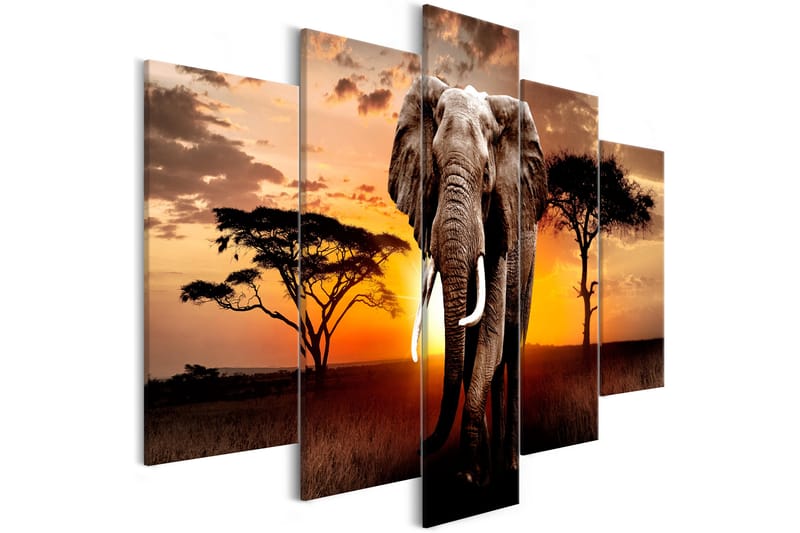 Bilde Wandering Elephant 5 Parts Wide 225x100 - Artgeist sp. z o. o. - Innredning - Bilder & kunst - Lerretsbilder