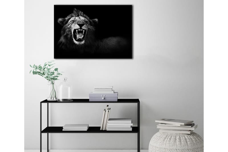 Canvas Lion Bilde - 75x100 - Innredning - Bilder & kunst - Lerretsbilder