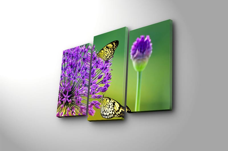 Canvasbilde 3-pk flerfarget - 22x03 cm - Innredning - Bilder & kunst - Lerretsbilder