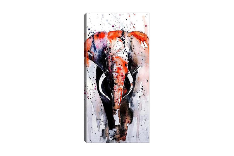 Canvasbilde DKY Animals Flerfarget - 50x120 cm - Innredning - Bilder & kunst - Lerretsbilder