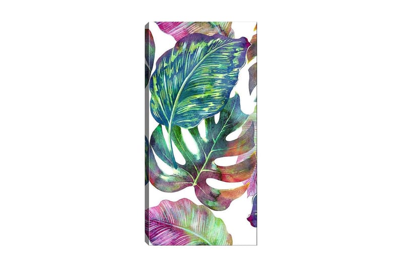Canvasbilde DKY Floral & Botanical Flerfarget - 50x120 cm - Innredning - Bilder & kunst - Lerretsbilder