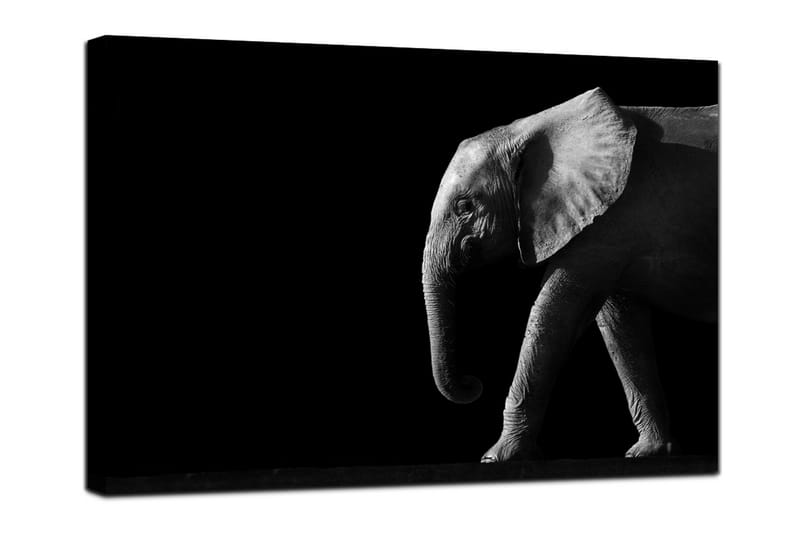 Canvastavla Elephant Black - 75x100 - Innredning - Bilder & kunst - Lerretsbilder