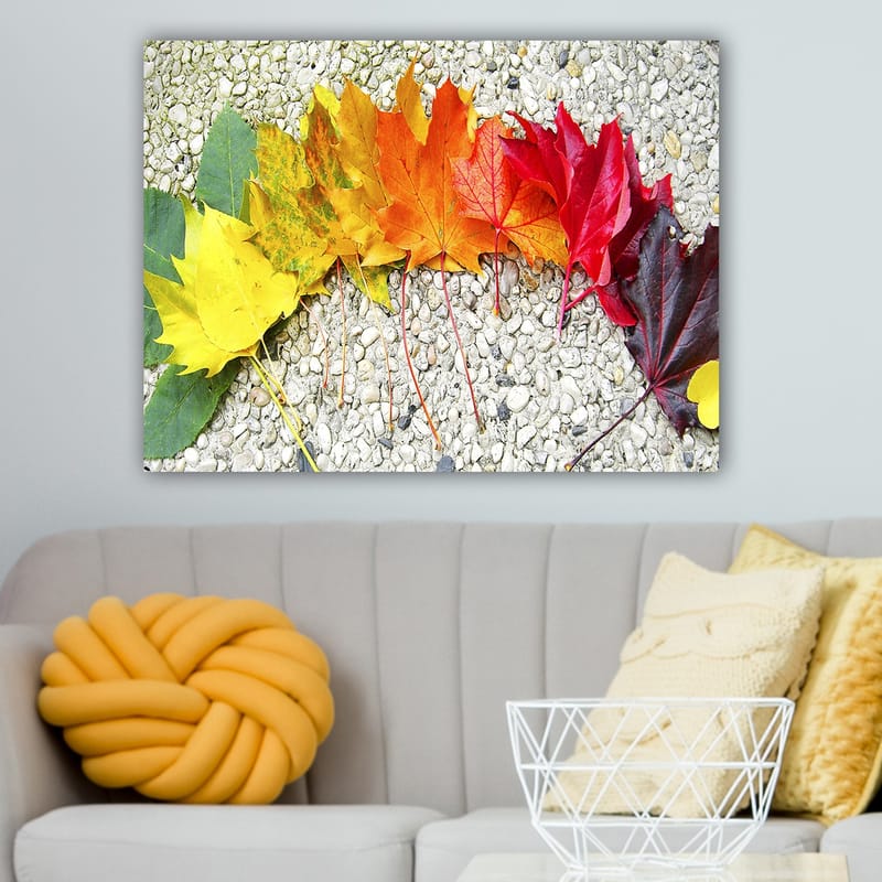 Dekorativ Canvasbilde 70x100 cm - Flerfarget - Innredning - Bilder & kunst - Lerretsbilder
