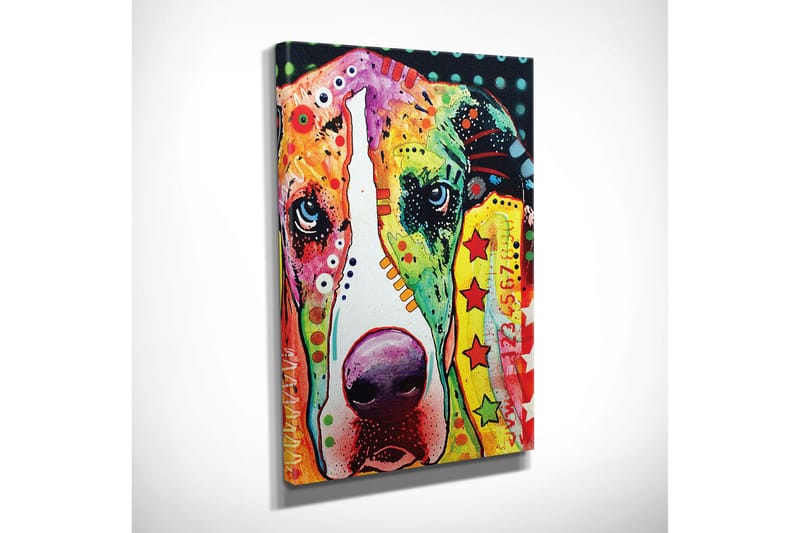 Dekorativ Canvasbilde - Flerfarget - Innredning - Bilder & kunst - Lerretsbilder