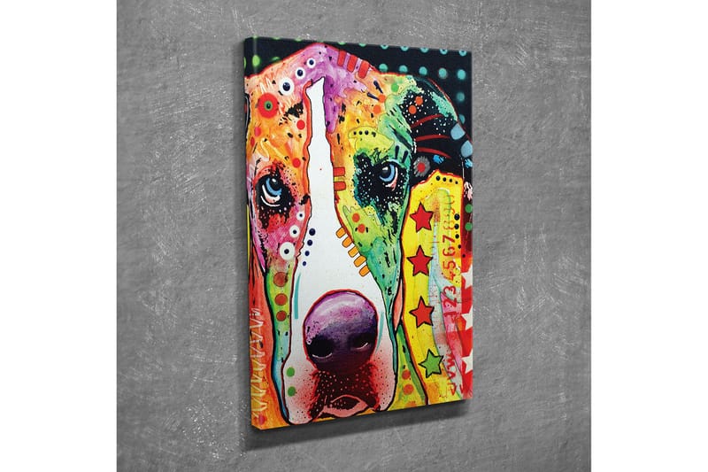 Dekorativ Canvasbilde - Flerfarget - Innredning - Bilder & kunst - Lerretsbilder