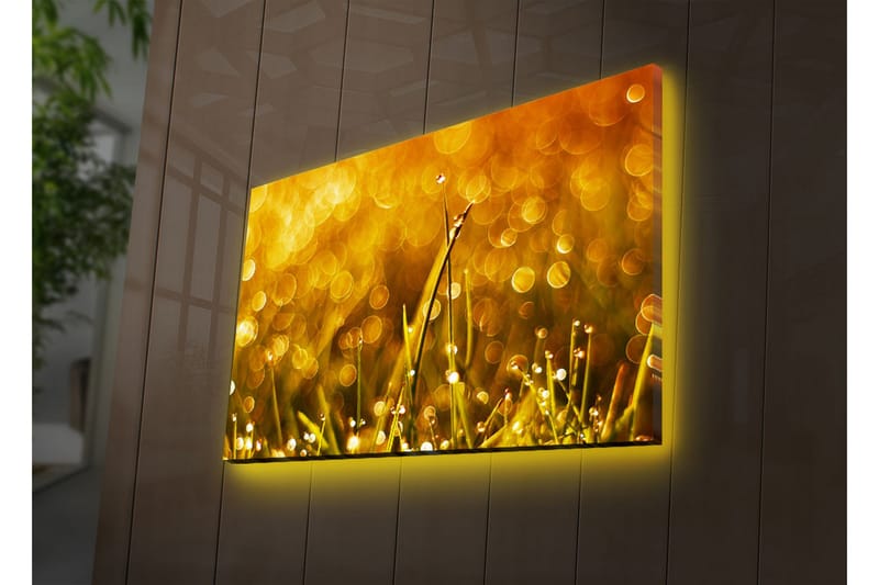 Dekorativ Canvasbilde LED-belysning