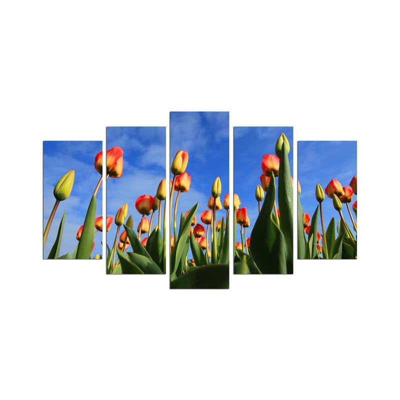 Dekorativ MDF-maling 5-Deler 20x60 cm - Flerfarget - Innredning - Bilder & kunst - Lerretsbilder