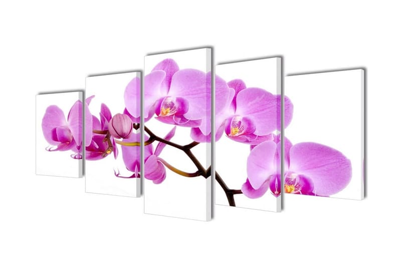 Kanvas Flerdelt Veggdekorasjon Orkidé 200 x 100 cm - Innredning - Bilder & kunst - Lerretsbilder