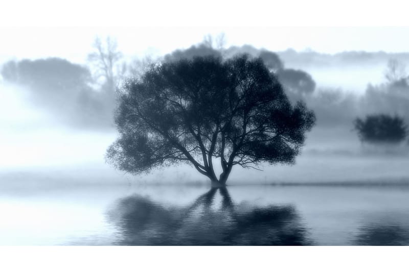 Kanvas Sprint Tree - 70x130cm - Innredning - Bilder & kunst - Lerretsbilder