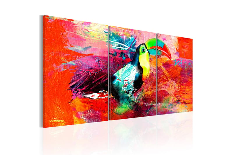 Tavle Colourful Toucan 60X30 - Artgeist sp. z o. o. - Innredning - Bilder & kunst - Lerretsbilder