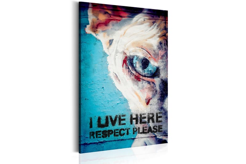 Tavle I Live Here, Respect Please 80X120 - Artgeist sp. z o. o. - Innredning - Bilder & kunst - Lerretsbilder