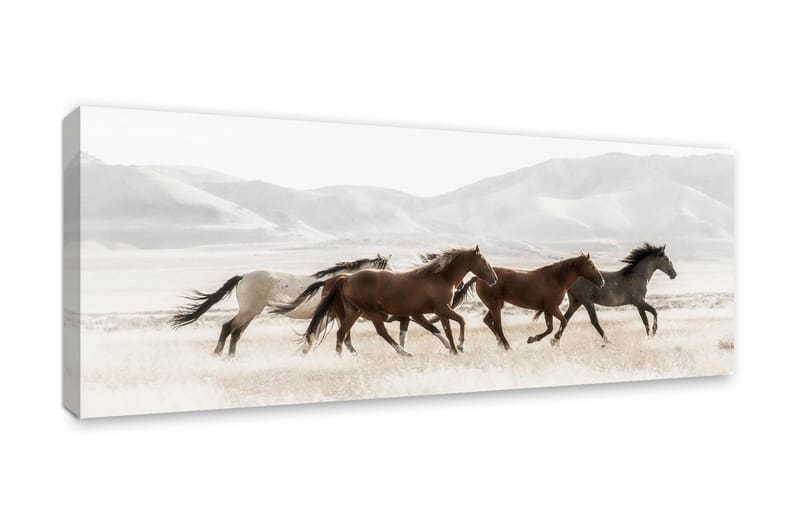 Tavle/Canvas Mustanger - 60x150 - Innredning - Bilder & kunst - Lerretsbilder