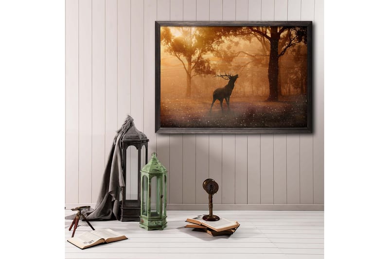 Deer At Dawn Foto Oransje/Brun - 70x50 cm - Innredning - Bilder & kunst - Posters