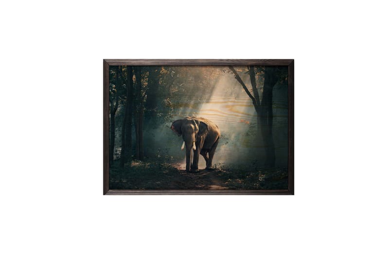 Elephant In The Djungle Foto Grønn/Beige - 70x50 cm - Innredning - Bilder & kunst - Posters