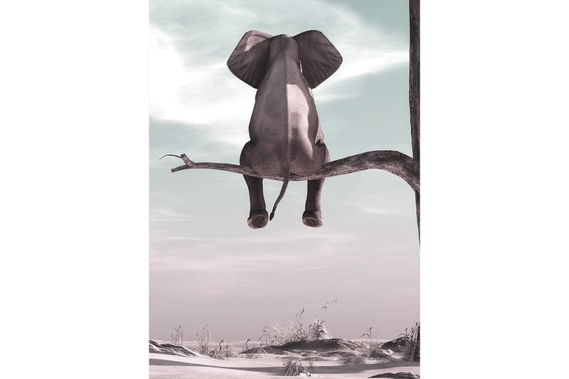 Elephant Poster 50x70 cm - Multifarge - Innredning - Bilder & kunst - Posters