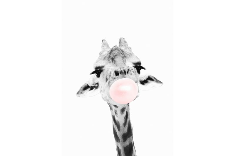 Giraffe Pink Bubblegum Illustrasjon Hvit/Grå/Rosa - 50x70 cm - Innredning - Innredning barnerom - Dekorasjon til barnerom - Veggdekor barnerom - Posters barnerom