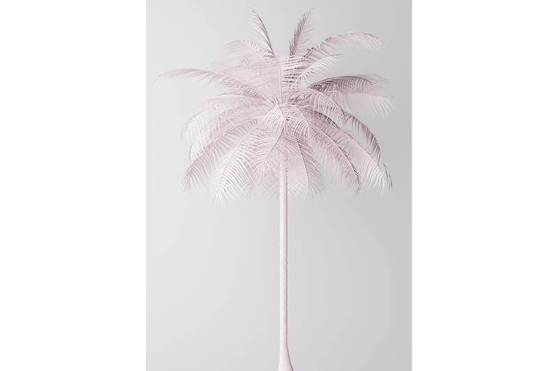 Palmtree Foto Rosa/Hvit - 50x70 cm - Innredning - Bilder & kunst - Posters