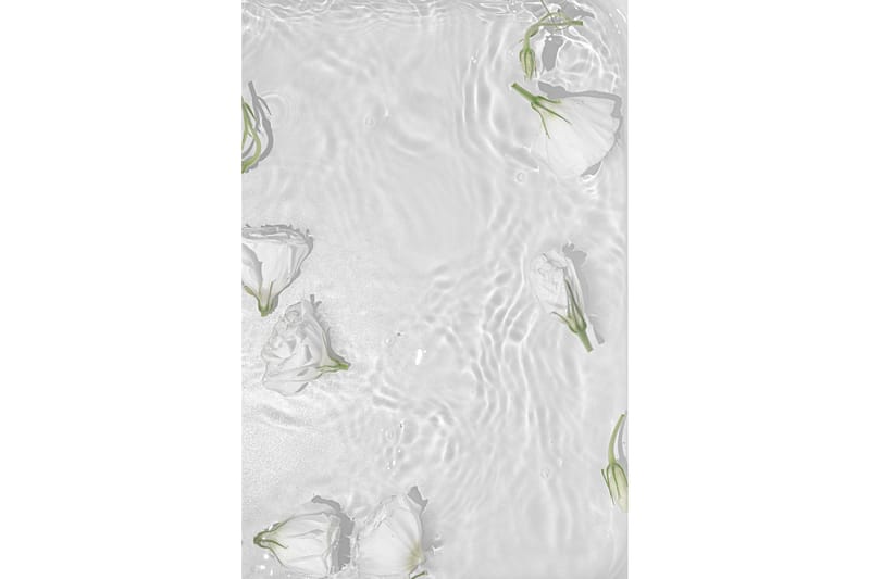 Poster White roses 50x70 cm - Hvit - Innredning - Bilder & kunst - Posters