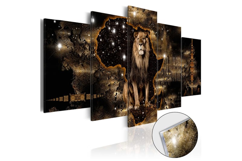 Bilde På Akryl Golden Lion 200x100 - Artgeist sp. z o. o. - Innredning - Bilder & kunst - Lerretsbilder