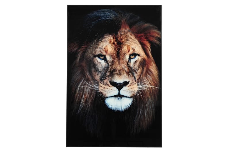 Lejon Bilde - 80x120 cm Flerfarget - Innredning - Bilder & kunst - Lerretsbilder