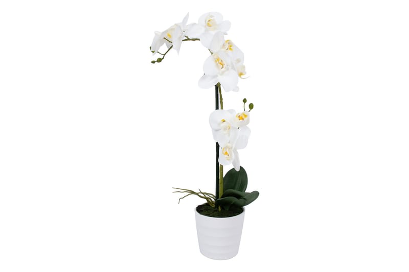 Hvit Orkidea 51 cm på Hvit Krukke - Innredning - Kunstige planter