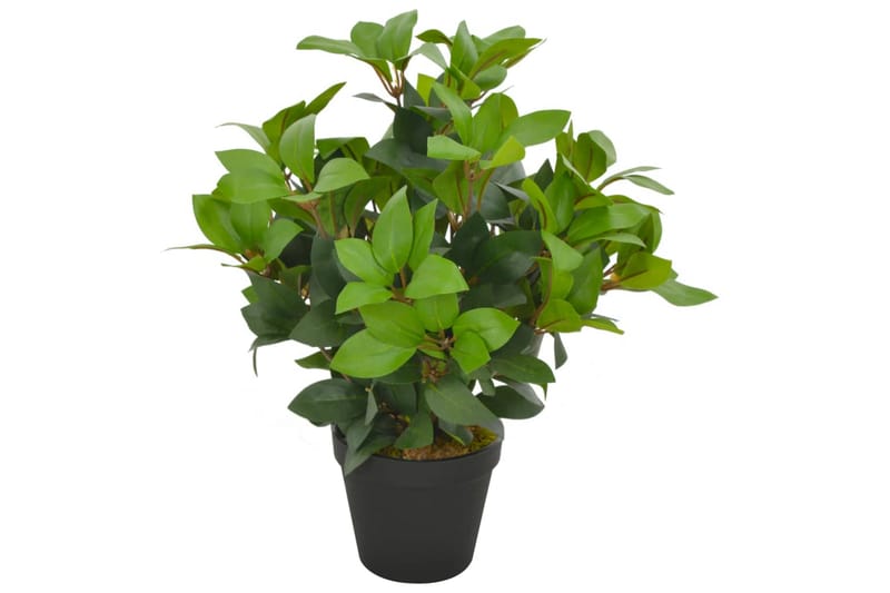 Kunstig laurbӕrtre med potte grønn 40 cm - Innredning - Kunstige planter