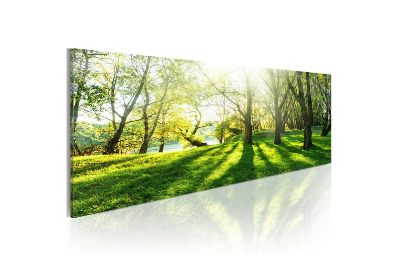 Bilde Rays Of Sunshine 135x45 - Finnes i flere størrelser - Innredning - Veggdekorasjon - Lerretsbilder