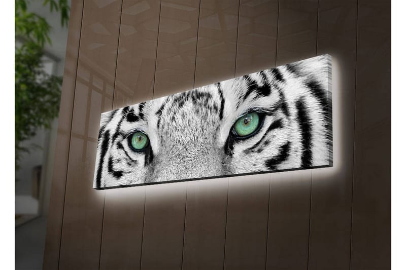 Dekorativ Canvasbilde LED-belysning - Flerfarget - Innredning - Veggdekorasjon - Lerretsbilder