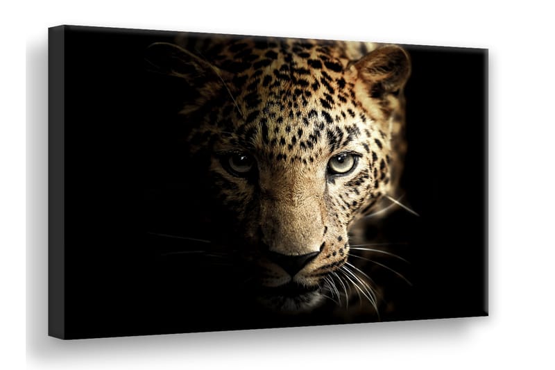Leopard Digitalprintet Bilde 75x100 cm - Lerret - Innredning - Veggdekorasjon - Lerretsbilder