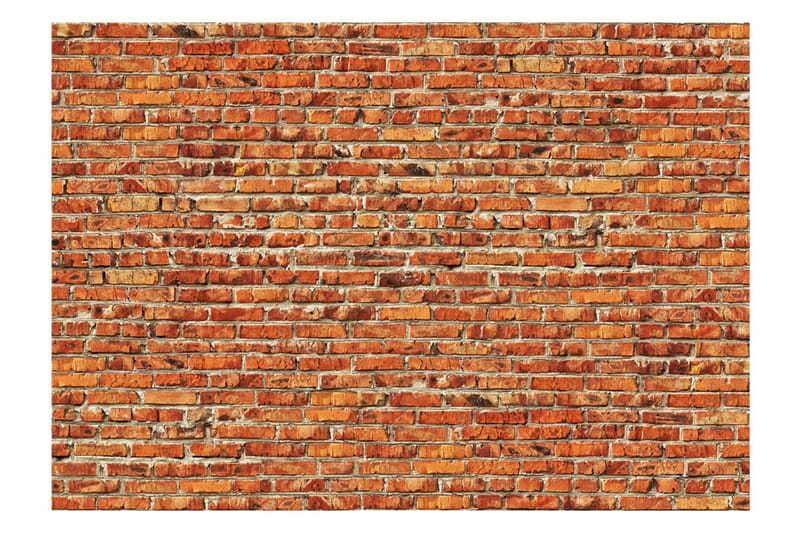 Fototapet Brick Wall 300x210 - Artgeist sp. z o. o. - Innredning - Veggdekorasjon - Tapeter - Fototapeter