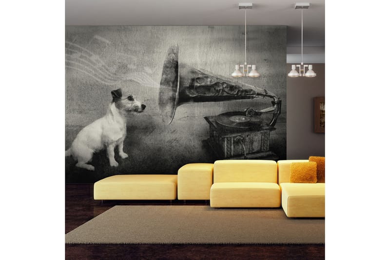 Fototapet Dog's Melodies 300x231 - Artgeist sp. z o. o. - Innredning - Bilder & kunst - Lerretsbilder