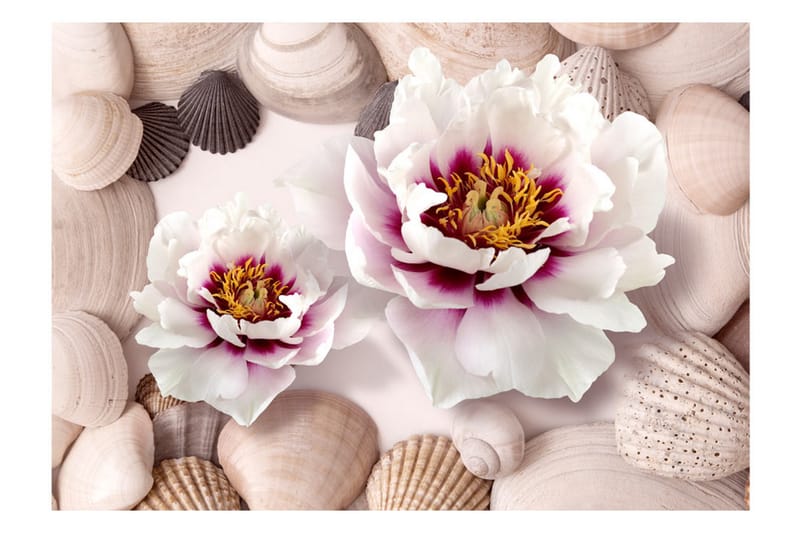 Fototapet Flowers And Shells 300x210 - Artgeist sp. z o. o. - Innredning - Veggdekorasjon - Tapeter - Fototapeter