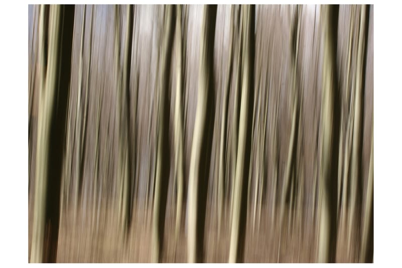 Fototapet Forest 300x231 - Finnes i flere størrelser - Innredning - Veggdekorasjon - Tapeter - Fototapeter