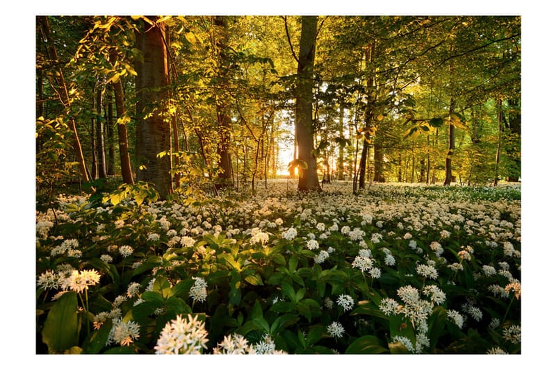 Fototapet Forest Flora 300x210 - Artgeist sp. z o. o. - Innredning - Veggdekorasjon - Tapeter - Fototapeter