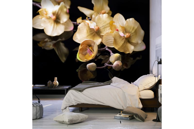 Fototapet Orchids In Ecru Color 300x231 - Artgeist sp. z o. o. - Innredning - Veggdekorasjon - Tapeter - Fototapeter