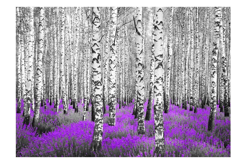 Fototapet Purple Asylum 300x210 - Artgeist sp. z o. o. - Innredning - Veggdekorasjon - Tapeter - Fototapeter