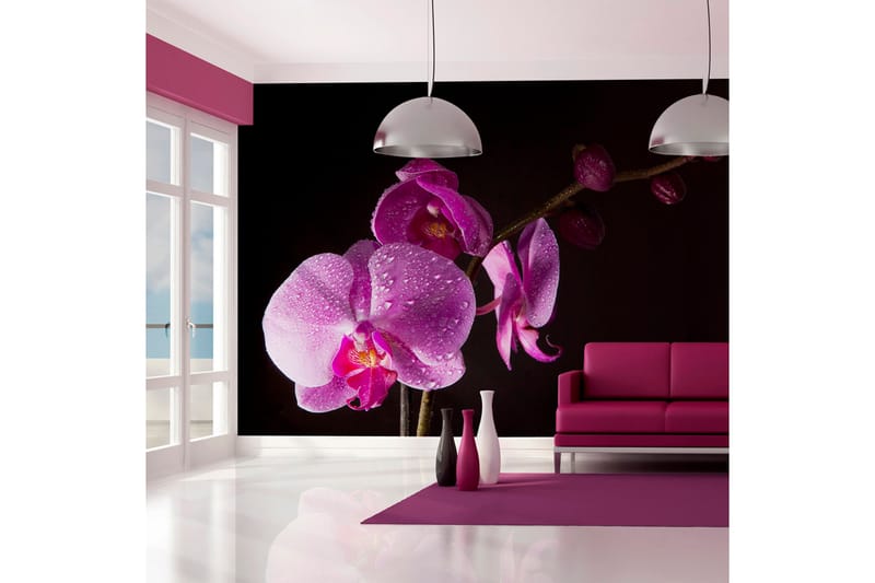 Fototapet Stylish Orchids 300x231 - Artgeist sp. z o. o. - Innredning - Veggdekorasjon - Tapeter - Fototapeter