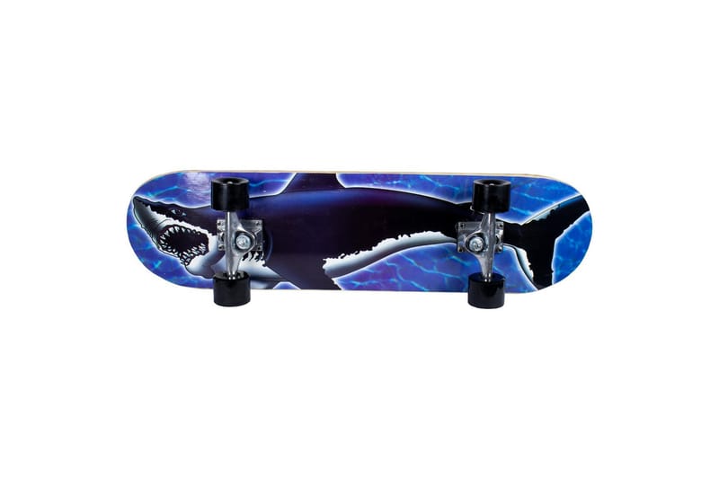 Sandbar Skateboard
