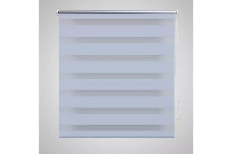 Rullegardiner sebramønstret 120 x 175 cm hvit - Hvit/Transparent - Tekstiler - Gardiner - Rullegardin